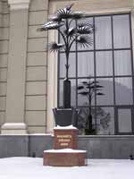 пальма Мерцалова