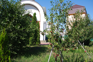  Збільшити...(фото 2016р.)